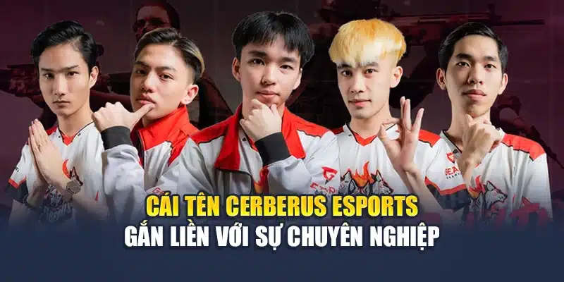 Cerberus Esports Và Hành Trình Thi Đấu Chuyên Nghiệp Tại M88 1 Cái tên Cerberus Esports gắn liền với sự chuyên nghiệp