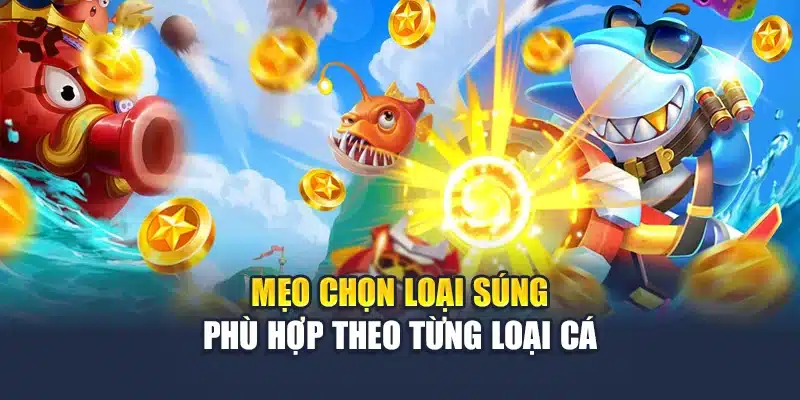 Mẹo chọn loại súng phù hợp theo từng loại cá